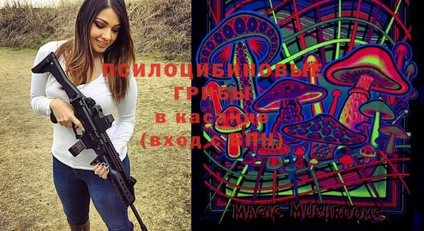 ГАЛЛЮЦИНОГЕННЫЕ ГРИБЫ Алексеевка
